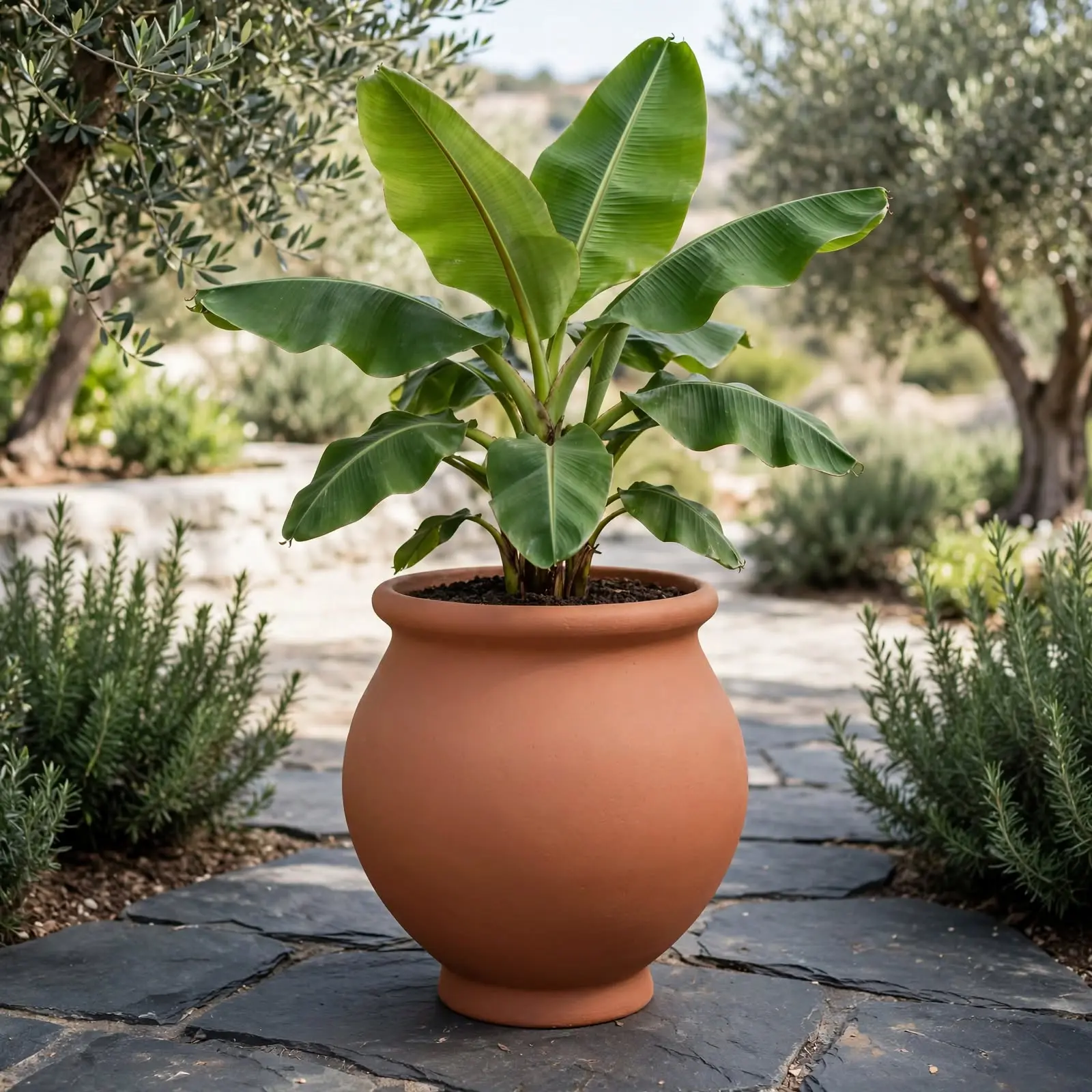 Estilo colonial en tu jardin — Anforas para exteriores