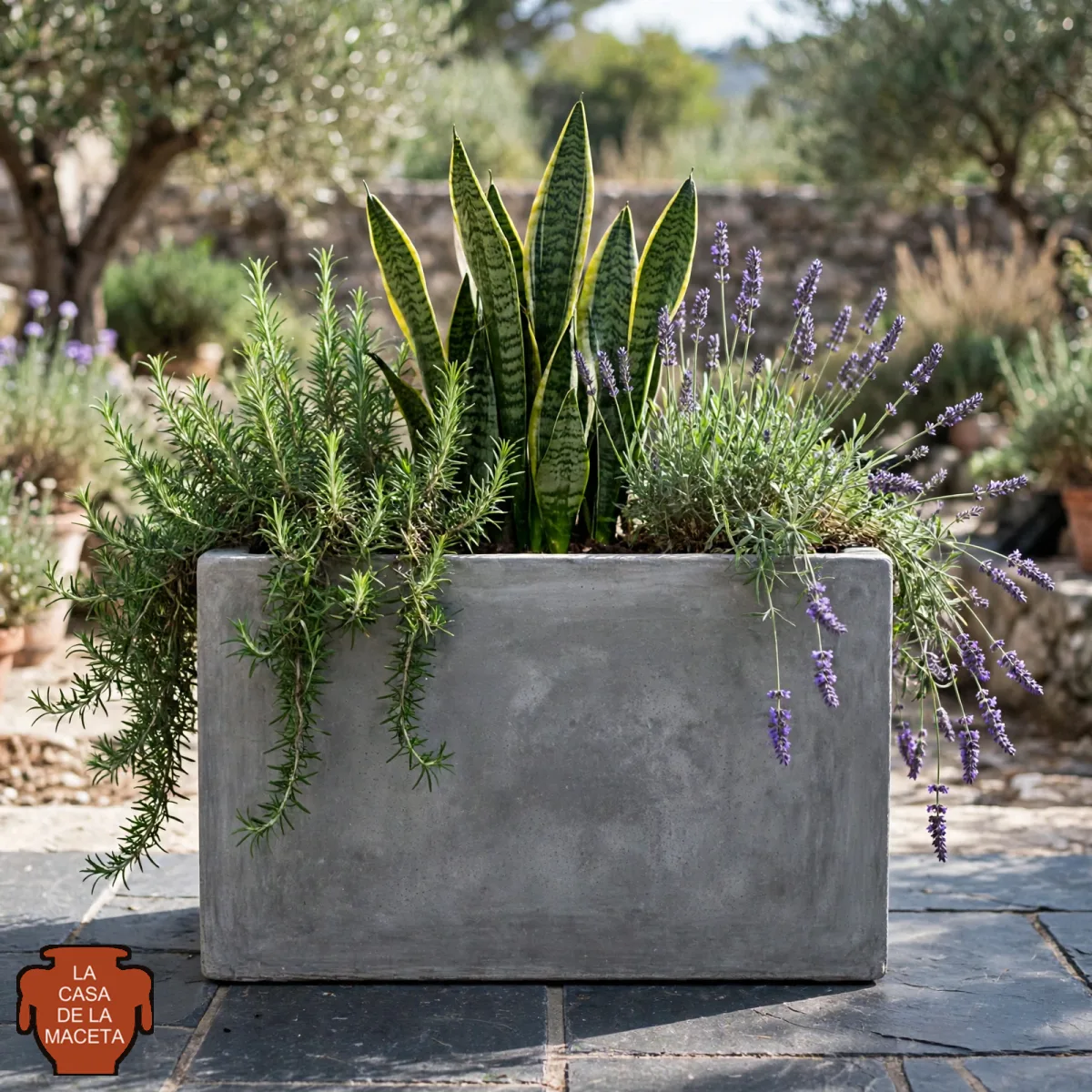 Jardinera de hormigón 60 × 30 × 50
